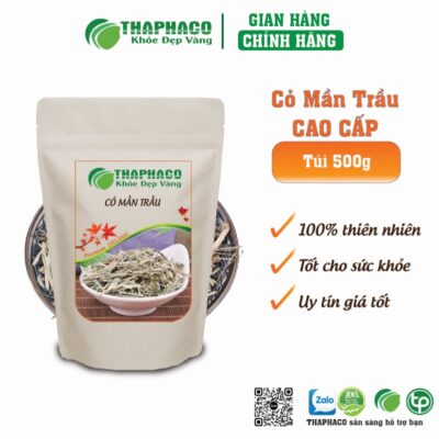 Cỏ Mần Trầu mang lại nhiều lợi ích sức khỏe như hạ sốt, giải độc
