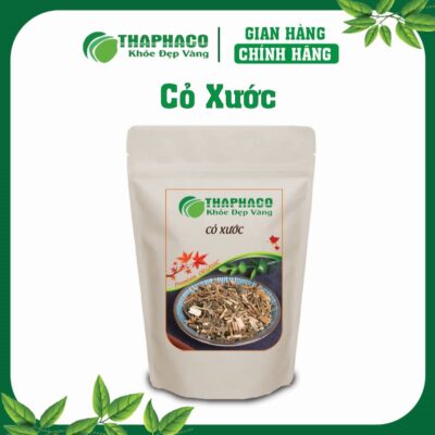 Cỏ Xước Là Gì? Nguồn Gốc và Đặc Điểm Nhận Biết