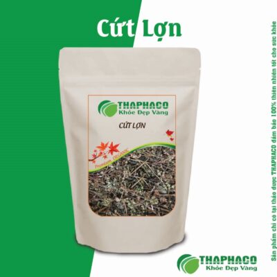 Cách dùng cứt lợn đắp ngoài, rửa vết thương, trị mụn nhọt