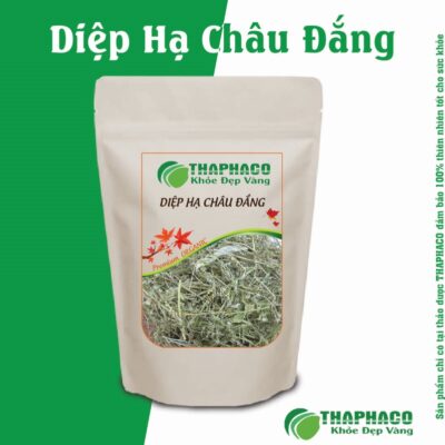 Ai Không Nên Dùng Diệp Hạ Châu Đắng?