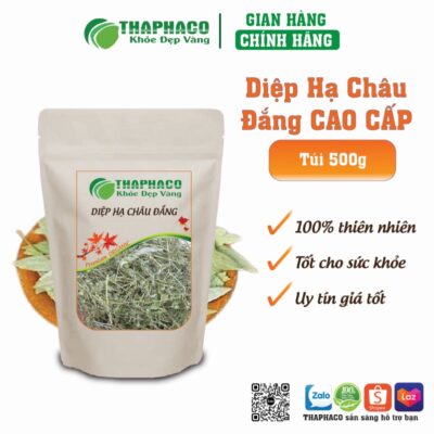 Cách dùng diệp hạ châu đắng pha trà thảo mộc hàng ngày