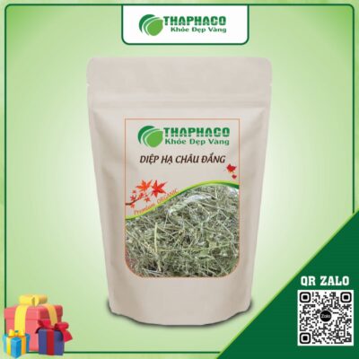 Diệp Hạ Châu Đắng Hỗ Trợ Tiêu Hóa, Lợi Mật Hiệu Quả