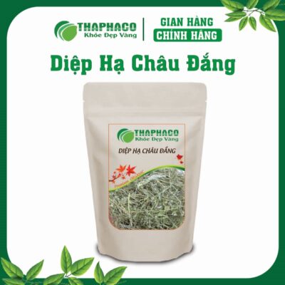 Diệp Hạ Châu Đắng Là Gì? Nguồn Gốc và Đặc Điểm Nhận Biết