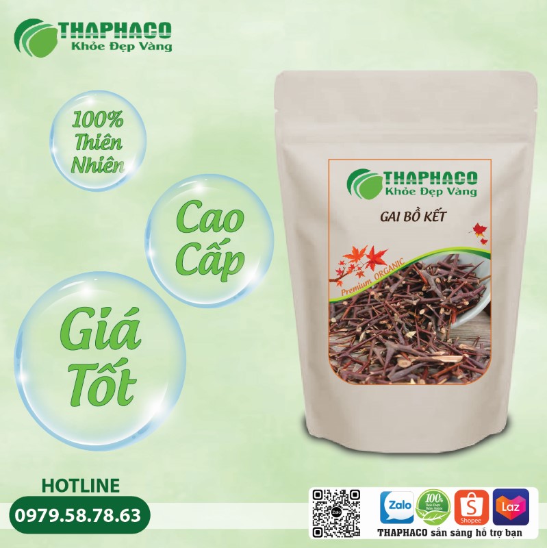 Gai Bồ Kết Thaphaco chất lượng cao với mức giá cạnh tranh 