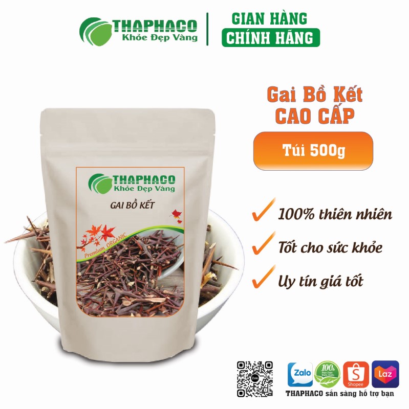 Gai Bồ Kết còn được biết đến với khả năng giải độc, lợi tiểu