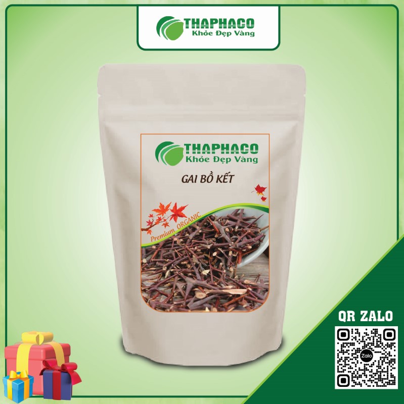 Gai Bồ Kết có khả năng kháng viêm, giảm sưng tấy 