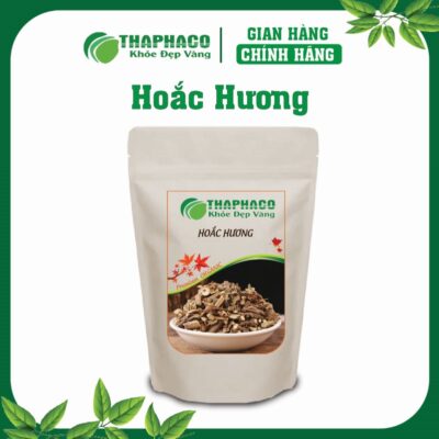 Hoắc Hương là gì? Nguồn gốc và Đặc điểm nhận biết