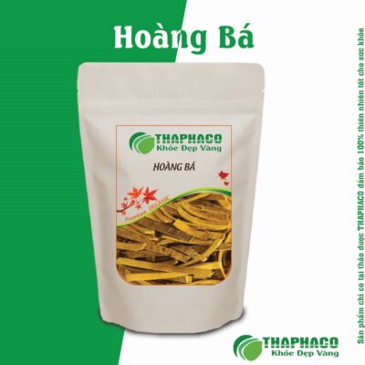 Hoàng Bá giúp kiểm soát đường huyết, giảm hấp thu glucose