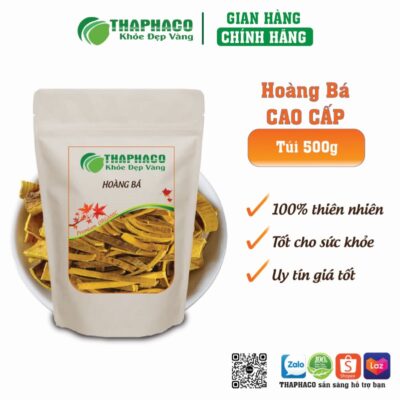 Hoàng Bá Hỗ Trợ Giảm Mỡ Máu, Bảo Vệ Tim Mạch