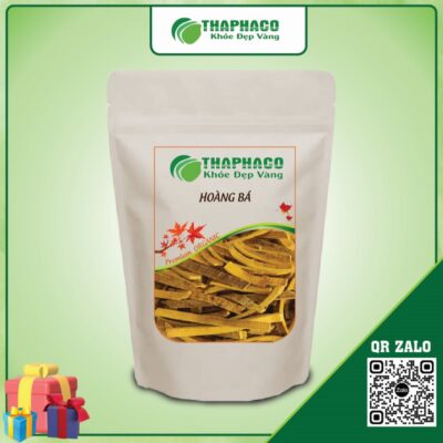 Các Bài Thuốc Dân Gian Từ Hoàng Bá