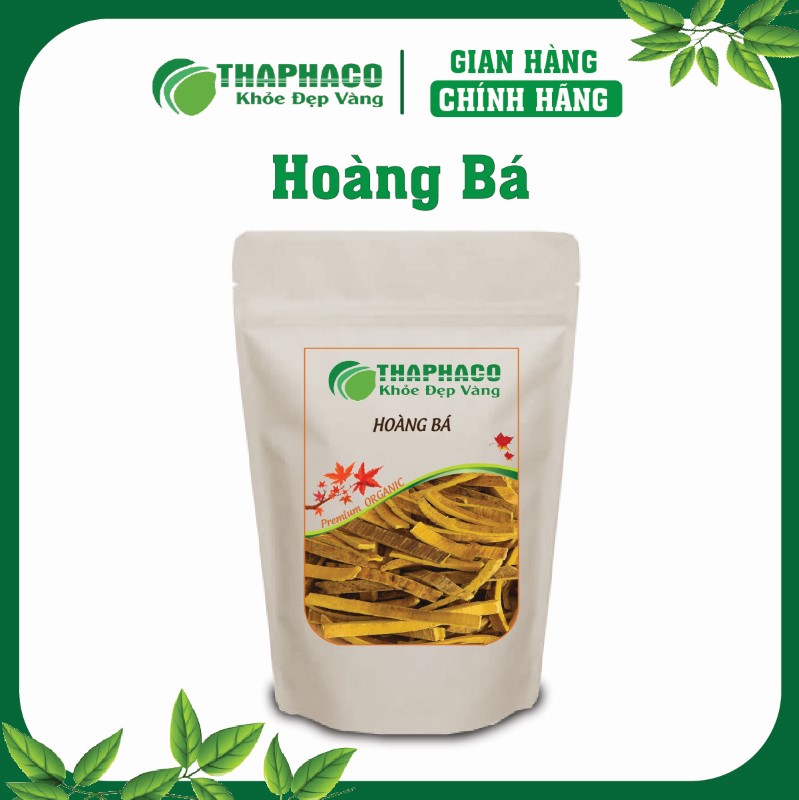 Hoàng Bá Là Gì? Nguồn Gốc Và Đặc Điểm