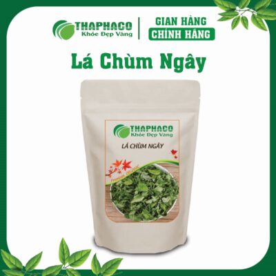 Lá Chùm Ngây là gì? Nguồn gốc và đặc điểm nổi bật