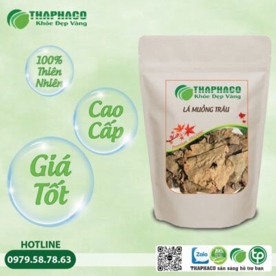 Ai Không Nên Dùng Lá Muồng Trâu?