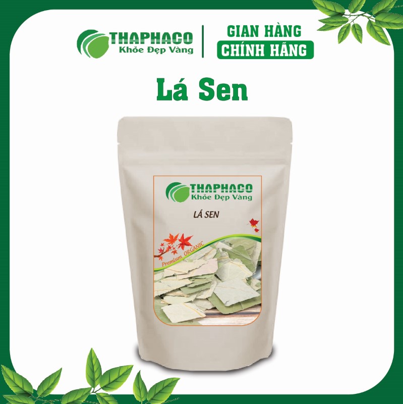 Lá Sen Là Gì? Nguồn Gốc và Đặc Điểm Của Cây Sen