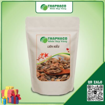 Liên Kiều Hỗ Trợ Điều Trị Cảm Cúm, Sốt, Đau Đầu