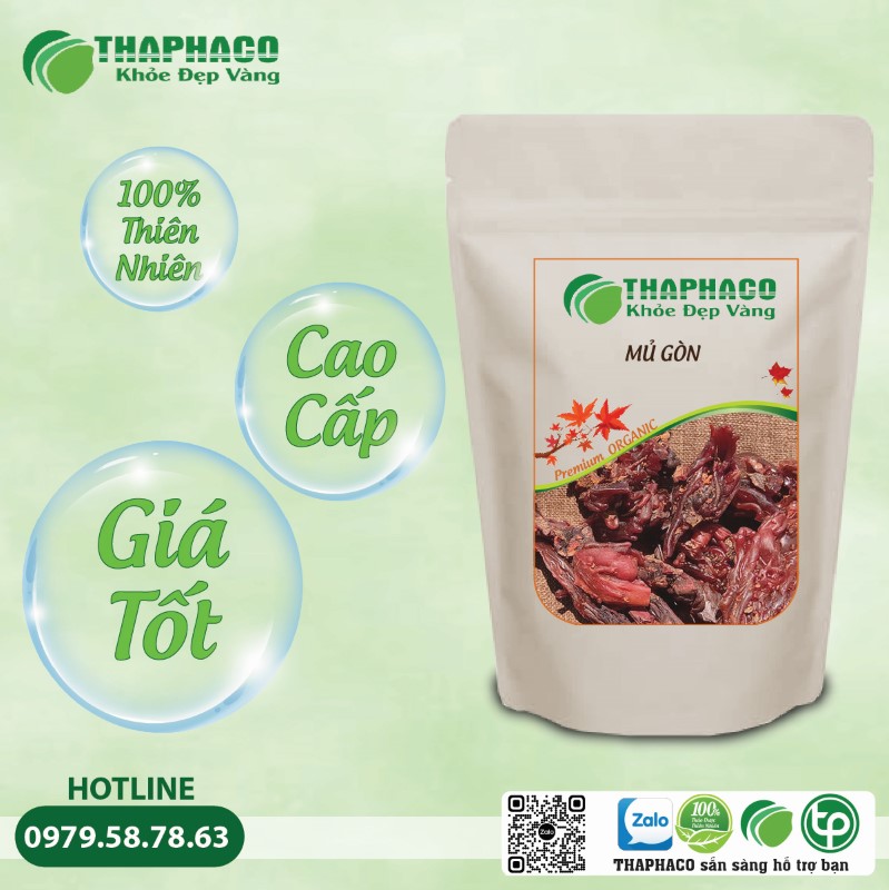 Lưu Ý Quan Trọng Khi Sử Dụng Mủ Gòn