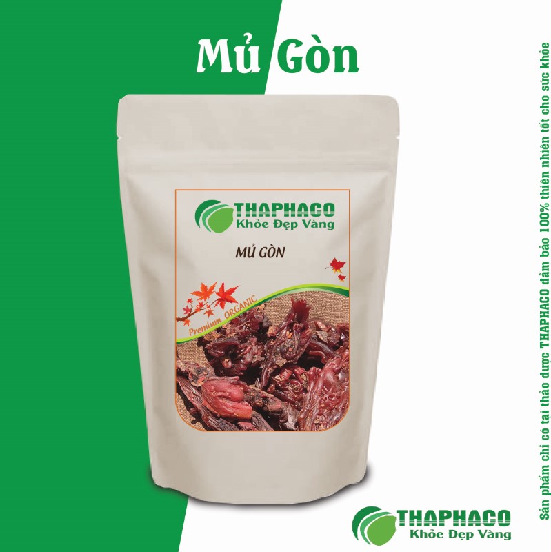 Các Bài Thuốc Dân Gian Từ Mủ Gòn Hỗ Trợ Sức Khỏe