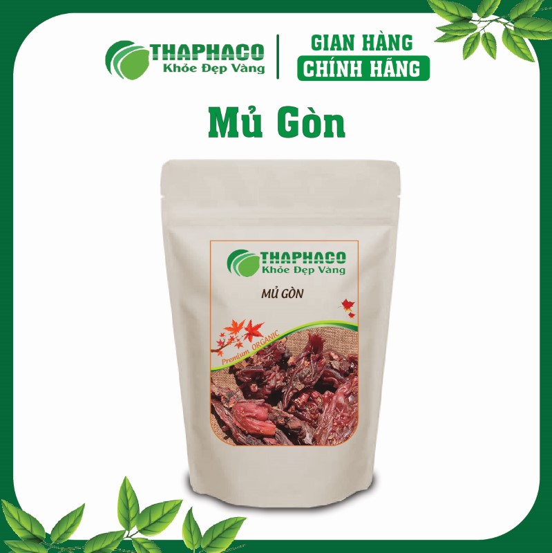 Mủ gòn là nhựa tiết ra từ cây gòn