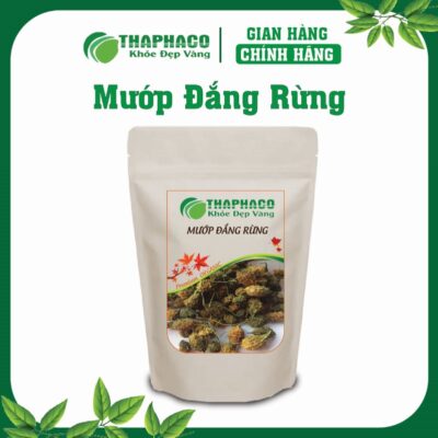Mướp Đắng Rừng (Khổ Qua Rừng) Là Gì? Nguồn Gốc và Đặc Điểm