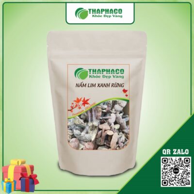 Nấm lim xanh rừng giúp Tăng Cường Hệ Miễn Dịch