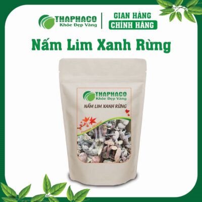 Nấm Lim Xanh Rừng Là Gì? Nguồn Gốc và Đặc Điểm Nhận Biết