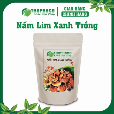Nấm Lim Xanh Trồng Là Gì? Nguồn Gốc và Đặc Điểm