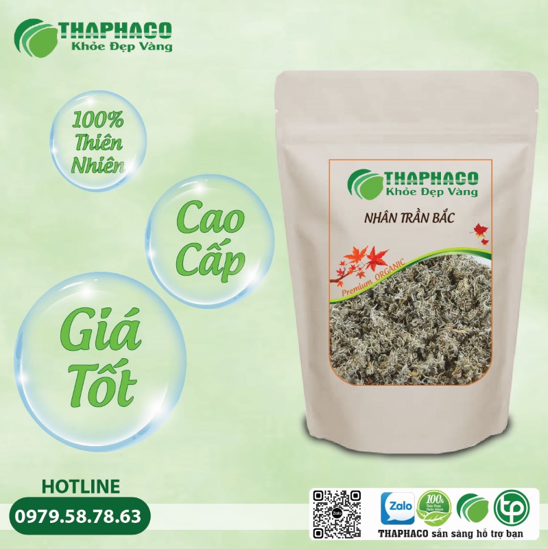 Lưu ý quan trọng khi sử dụng Nhân Trần Bắc