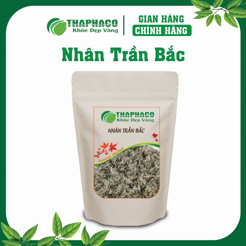 Nhân Trần Bắc là dược liệu quý thuộc họ Mã đề