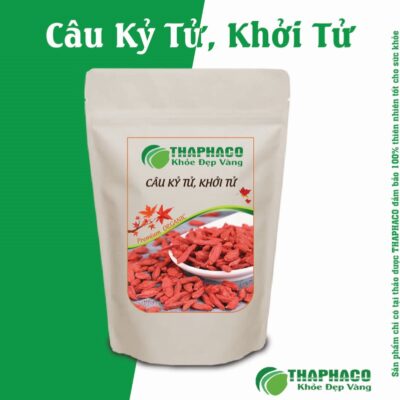 Lưu Ý Quan Trọng Khi Sử Dụng Câu Kỳ Tử (Khởi Tử)