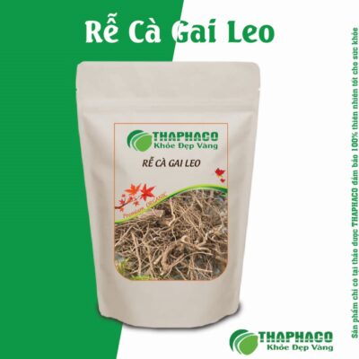 Các Bài Thuốc Rễ Cà Gai Leo Kết Hợp Điều Trị Bệnh Gan Hiệu Quả