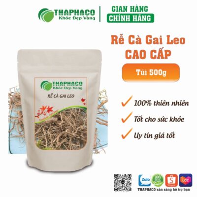 Liều Lượng Và Cách Dùng Rễ Cà Gai Leo An Toàn