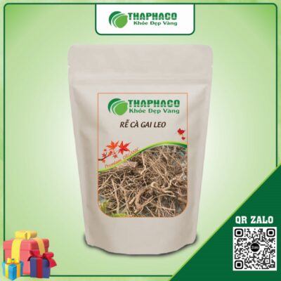 Rễ Cà Gai Leo Giúp Hỗ Trợ Điều Trị Các Bệnh Về Gan 