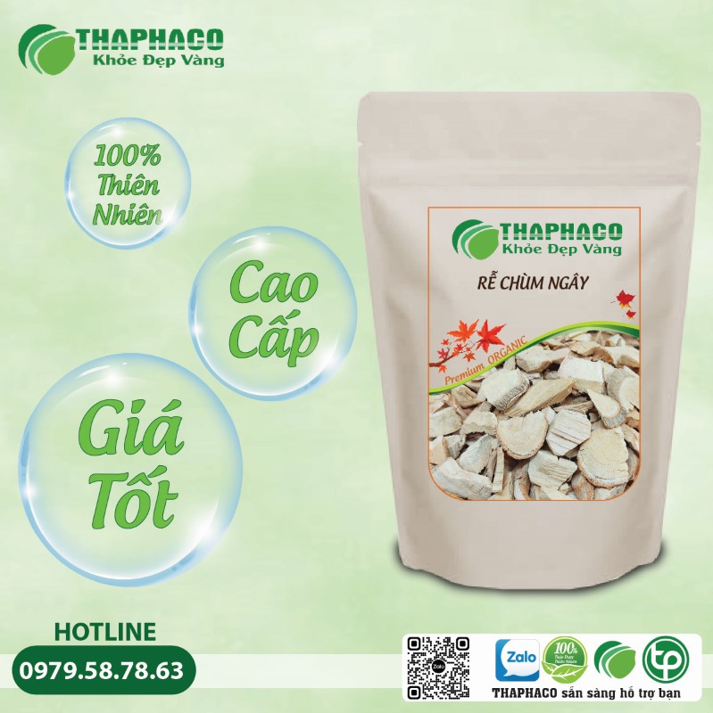 Ai không nên dùng Rễ Chùm Ngây?