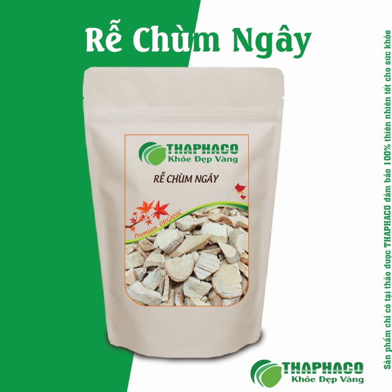 Cách dùng rễ chùm ngây ngâm rượu thuốc