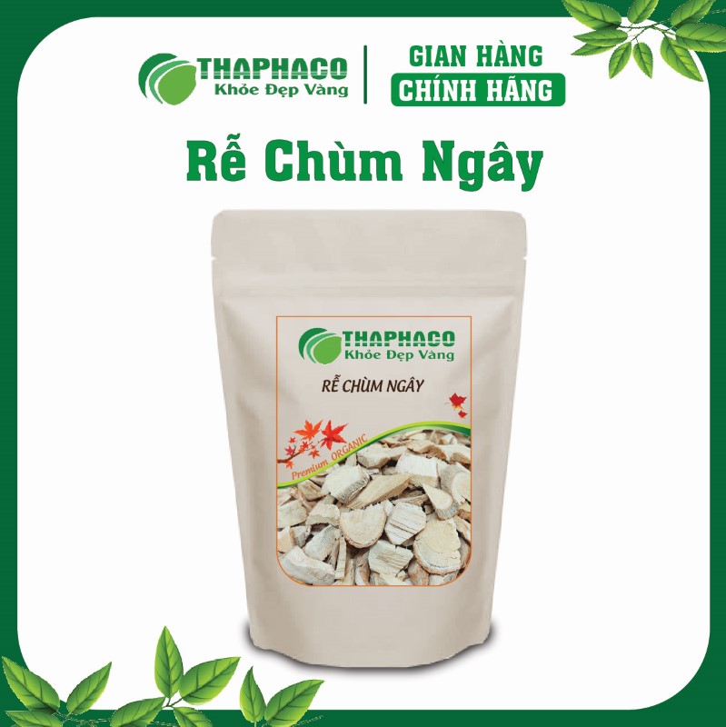 Rễ Chùm Ngây là gì? Nguồn gốc và Đặc điểm nhận biết