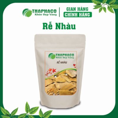 Rễ Nhàu Là Gì? Nguồn Gốc và Đặc Điểm Cây Nhàu