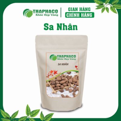 Sa Nhân/Dương Xuân Sa Là Gì? Nguồn Gốc và Đặc Điểm Nhận Biết