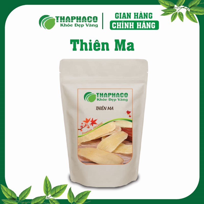 Thiên Ma là gì? Nguồn gốc và Đặc điểm