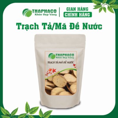 Trạch Tả/Mã Đề Nước Là Gì? Nguồn Gốc và Đặc Điểm