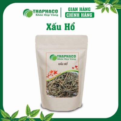 Cây Xấu Hổ (Mắc Cỡ) là gì? Nguồn gốc và Đặc điểm nhận biết
