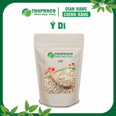 Ý Dĩ Là Gì? Nguồn Gốc và Đặc Điểm Của Dược Liệu Quý