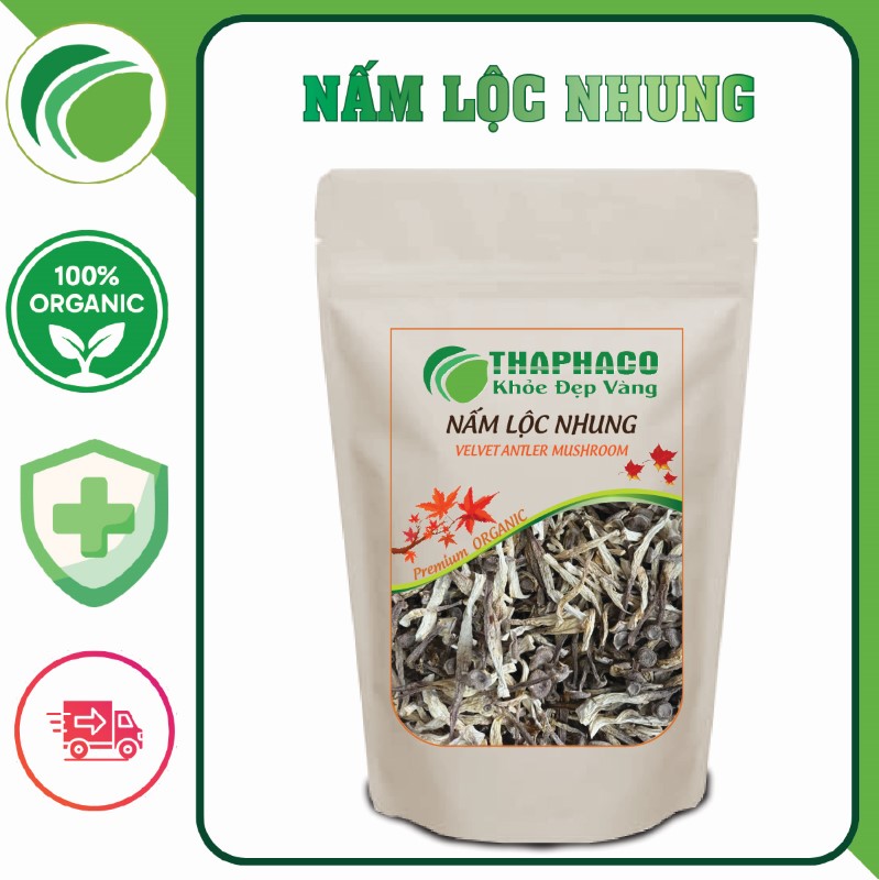 Nấm lộc nhung giúp cải thiện sức khỏe hệ miễn dịch