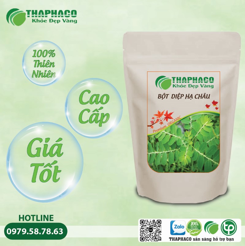 Diệp Hạ Châu kích thích sản xuất mật, cải thiện quá trình tiêu hóa