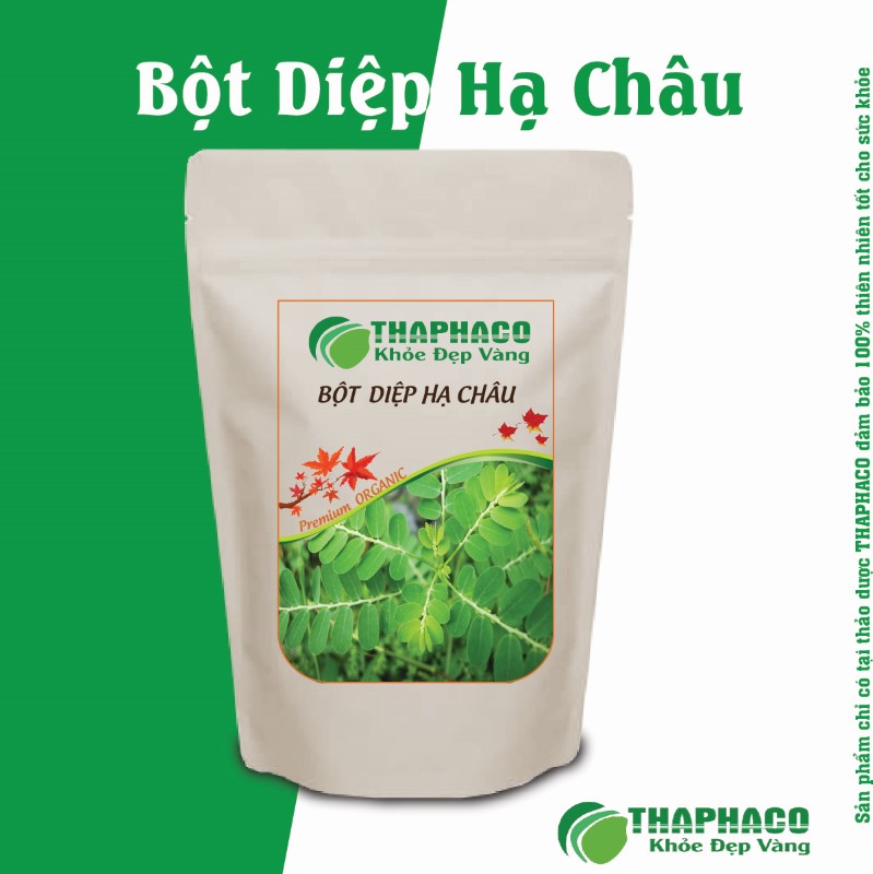 Lưu Ý Quan Trọng Khi Sử Dụng Bột Diệp Hạ Châu