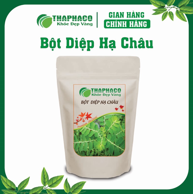 Diệp Hạ Châu đắng, hay còn gọi là cây chó đẻ răng cưa