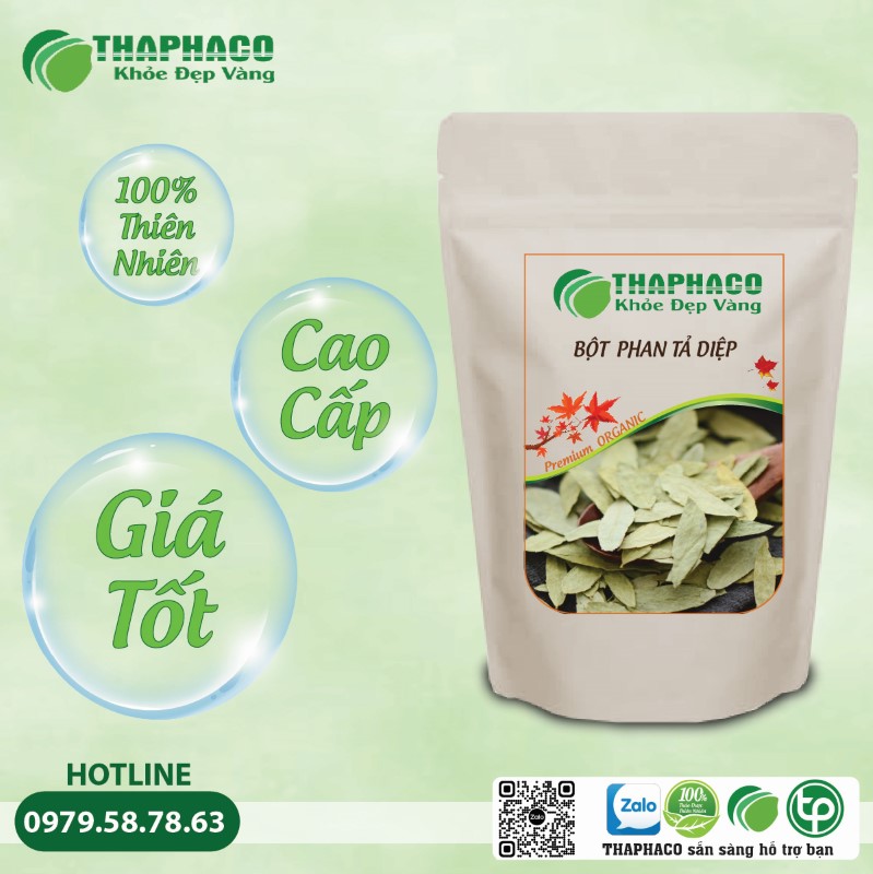 Bột Phan Tả Diệp là giải pháp tự nhiên hiệu quả cho nhiều vấn đề sức khỏe
