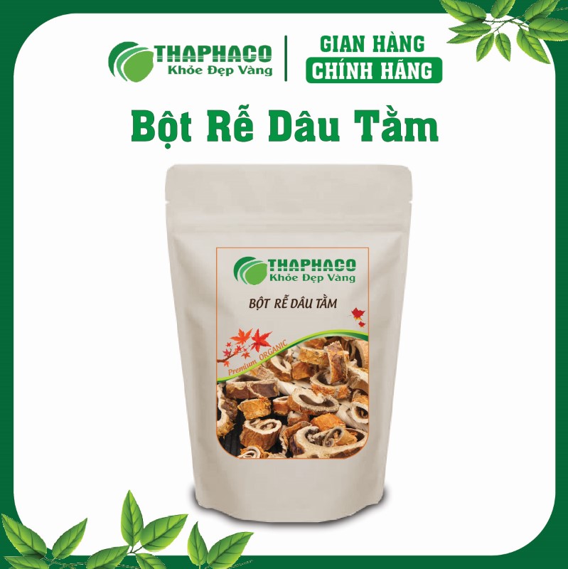Rễ dâu tằm, hay Tang Bạch Bì, là dược liệu quý từ cây dâu tằm