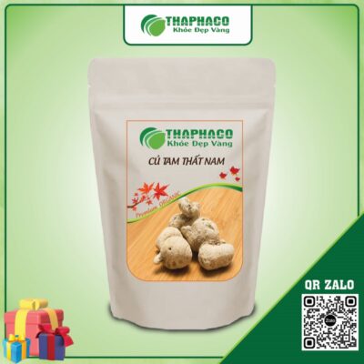 Củ tam thất nam giúp Tăng Cường Sức Đề Kháng, Nâng Cao Miễn Dịch