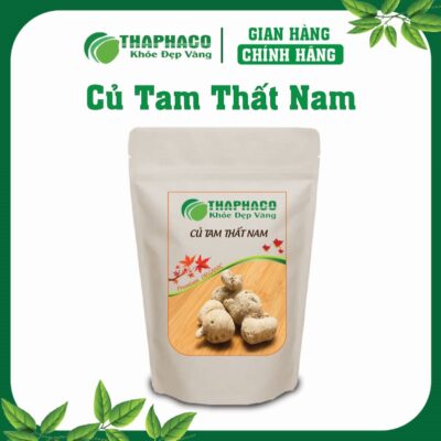 Củ Tam Thất Nam Là Gì? Nguồn Gốc và Đặc Điểm Nhận Biết
