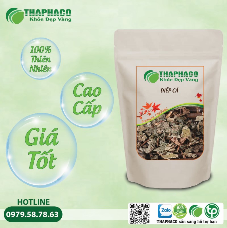 Hướng Dẫn Sử Dụng Diếp Cá Thaphaco Hiệu Quả